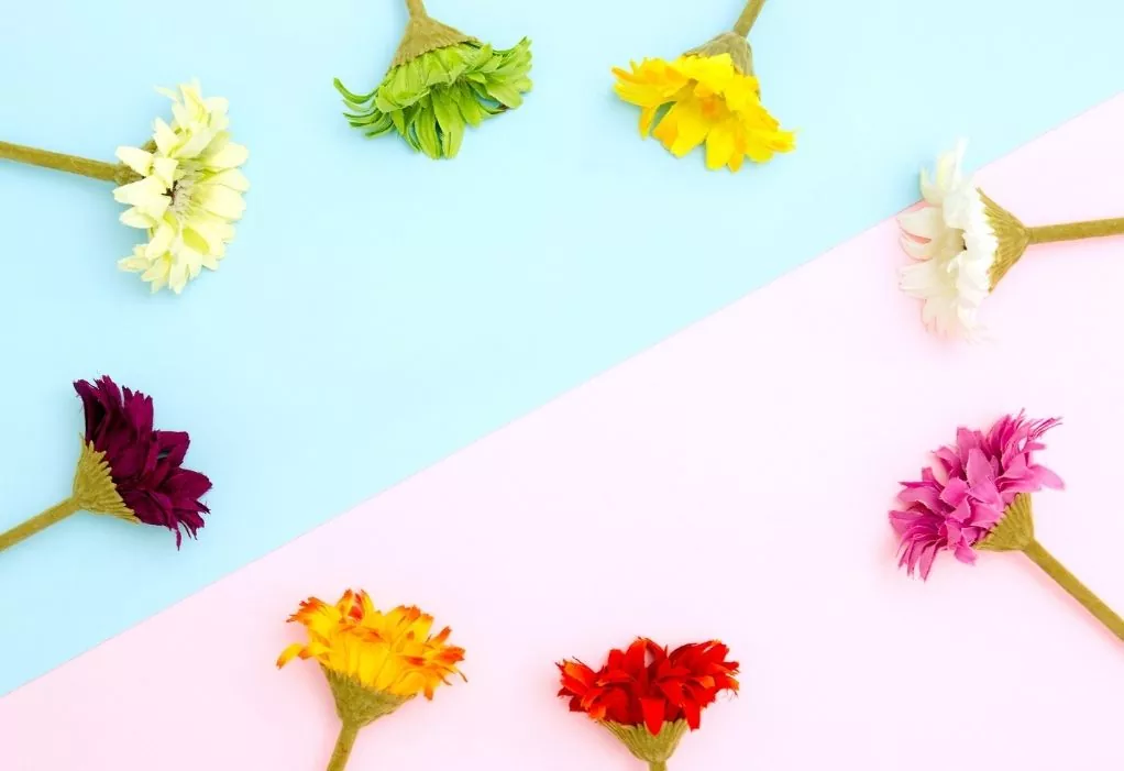 El Color de las Flores.