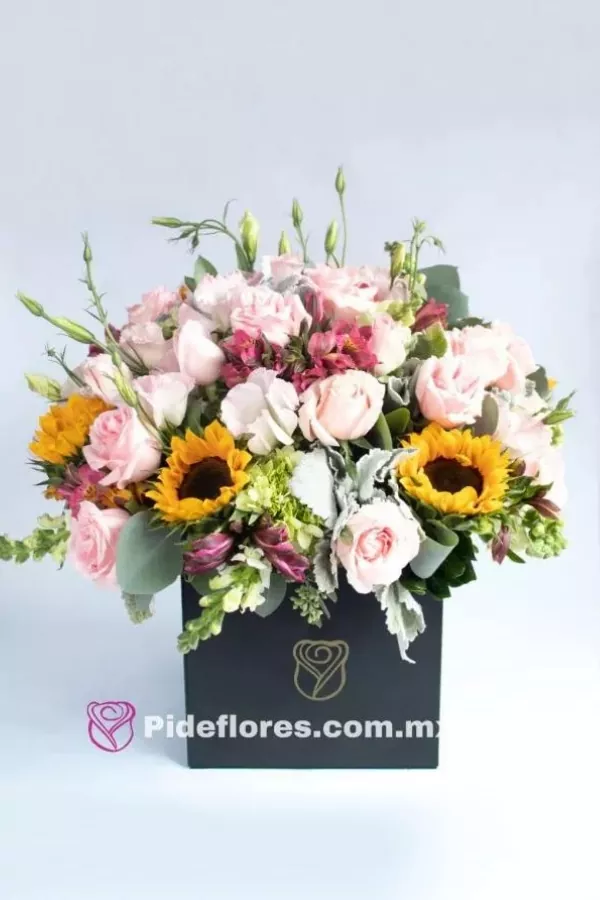 modelo_florart-Eraser