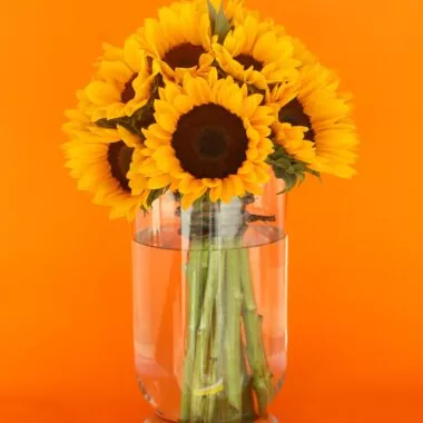 Modelo Bouquet Gira.