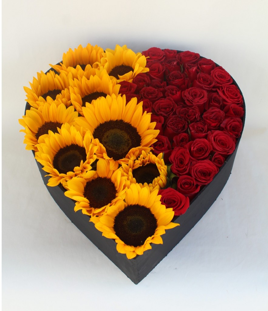Girasoles