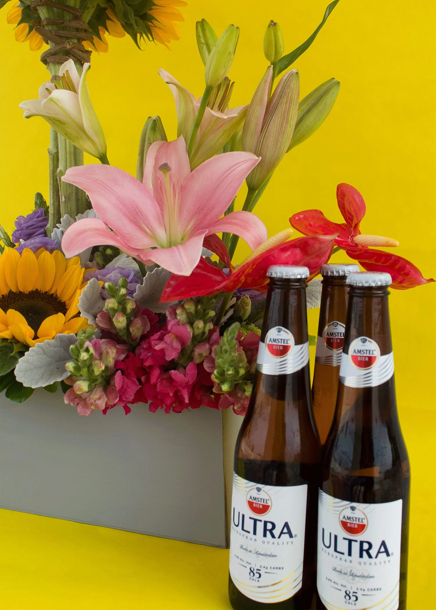 Modelo Jalisco