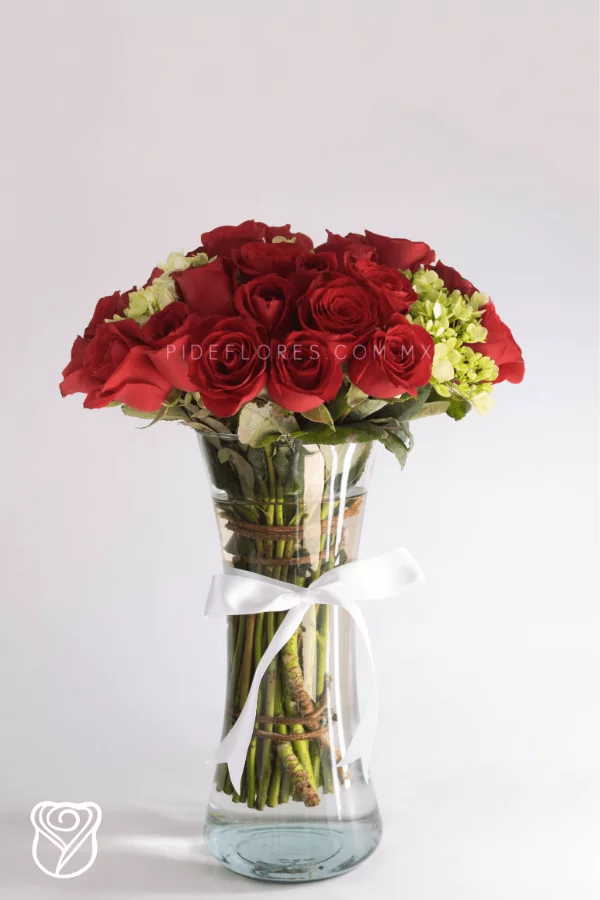 modelo_francia(1)
