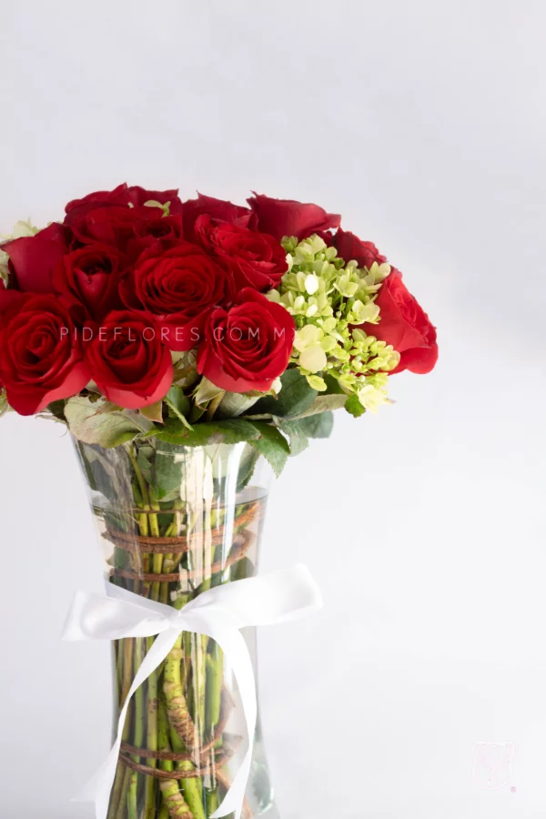 modelo_francia(2)