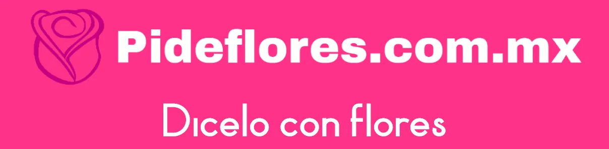 Banner1