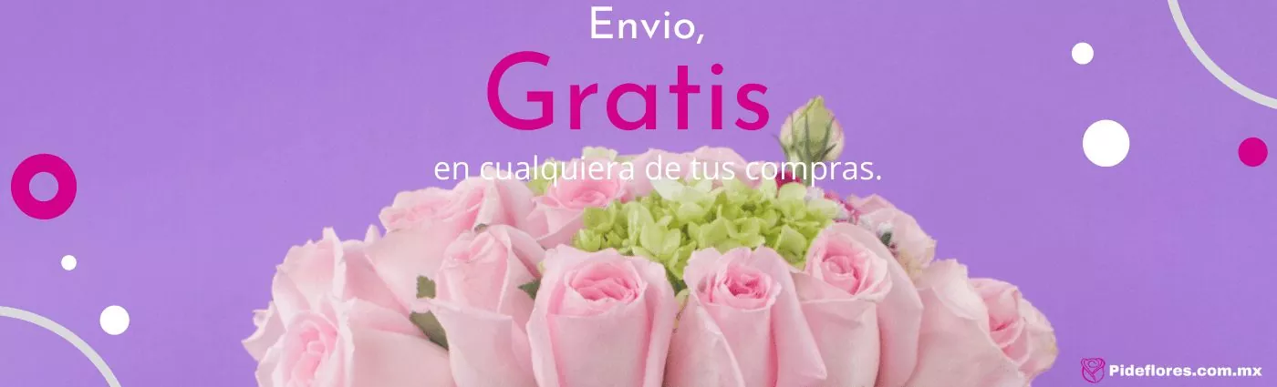 EnvioGratis