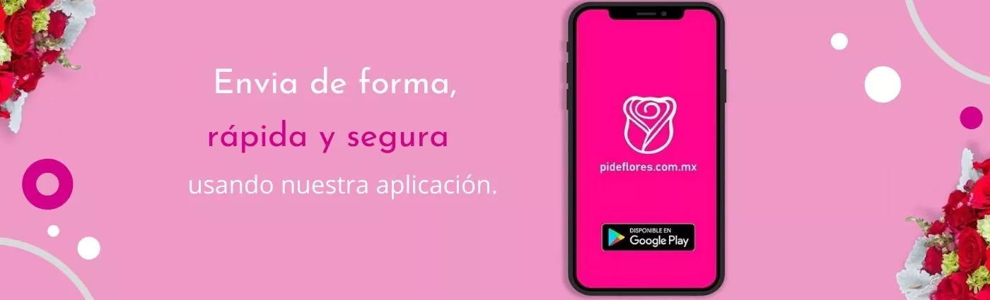 Nuestra app