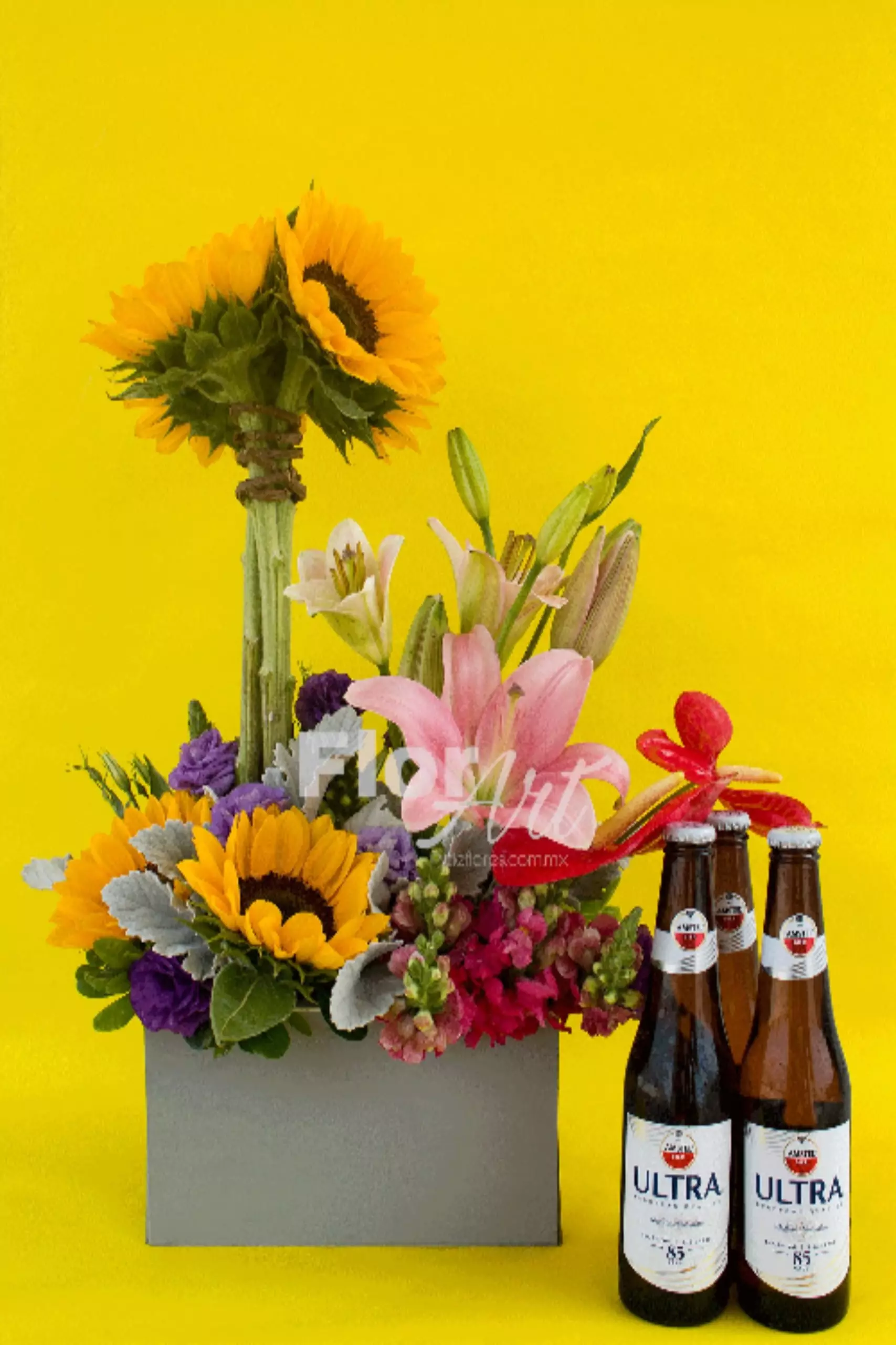 UltraGirasol-min