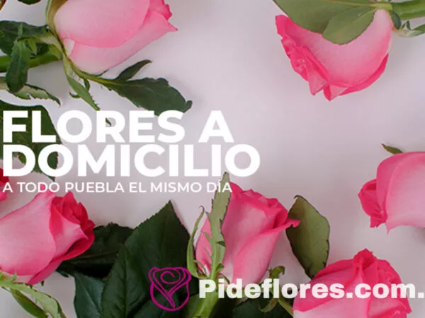 floresadomicilio