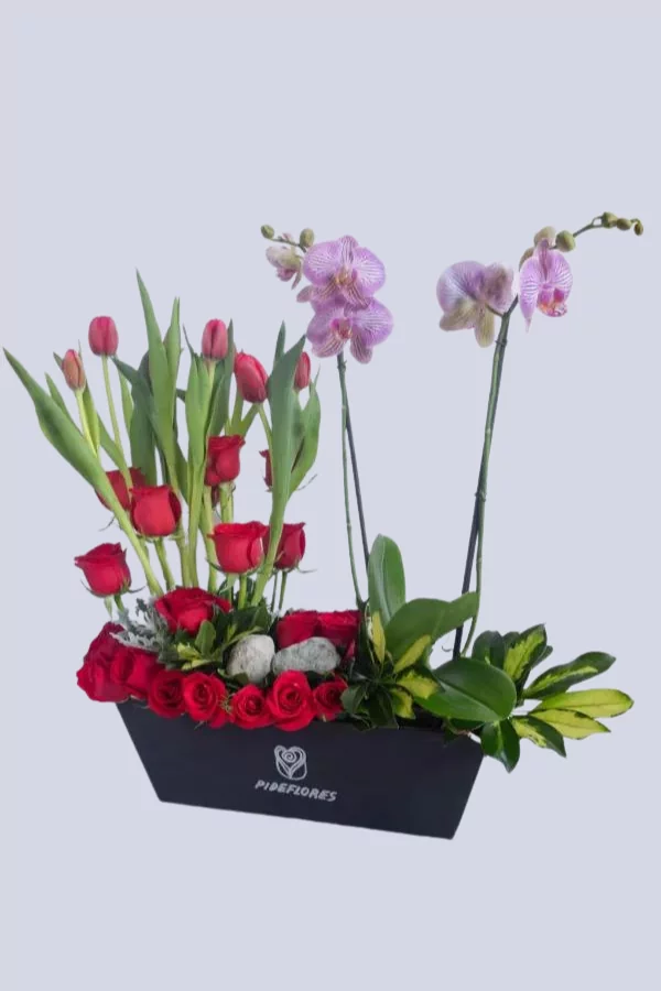 tuliprimavera