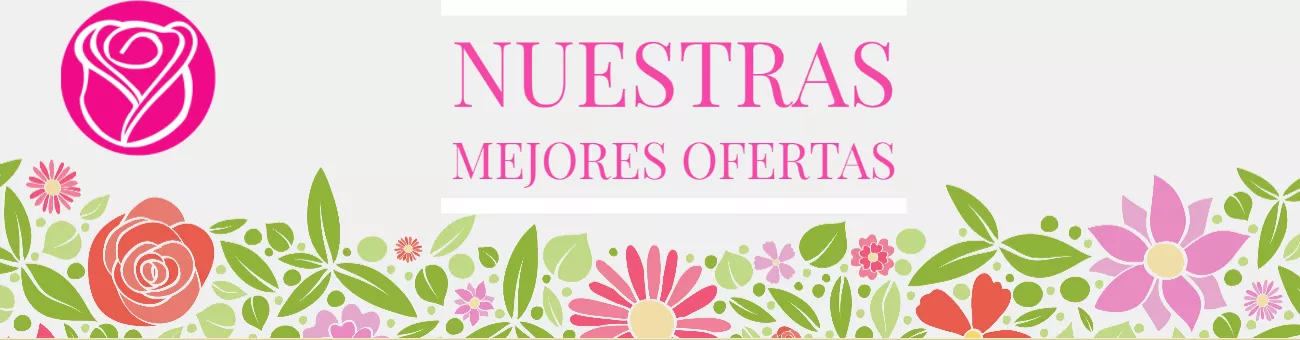 Ofertas (1)