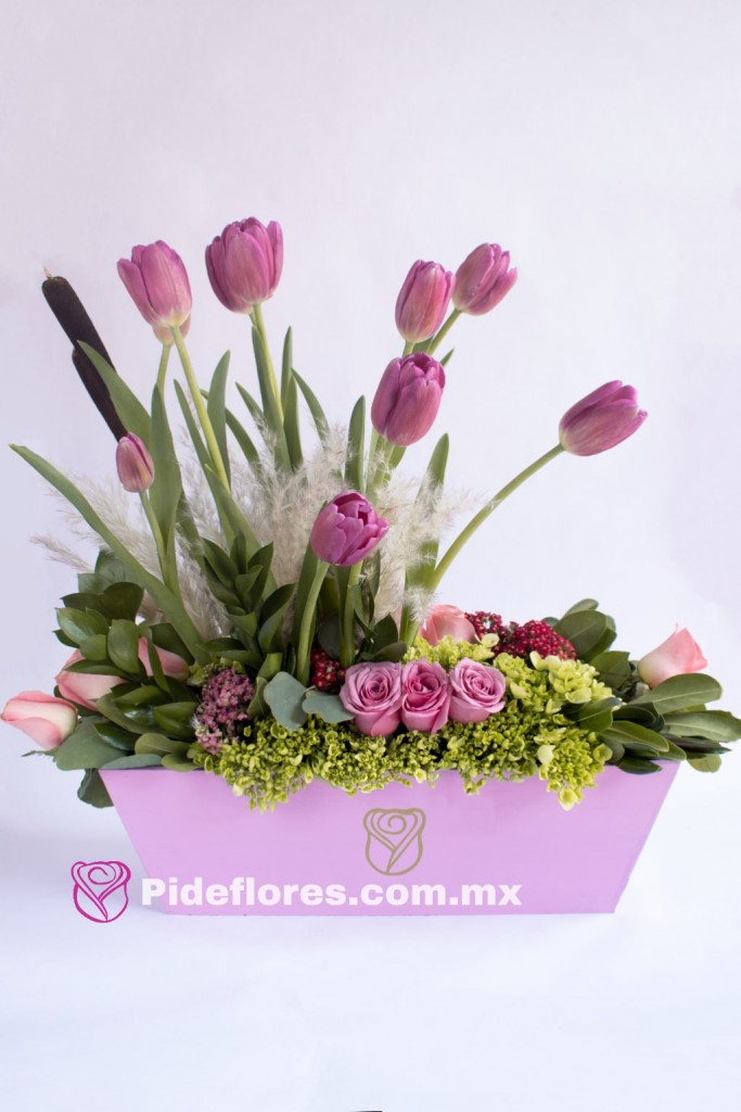Tulipanes