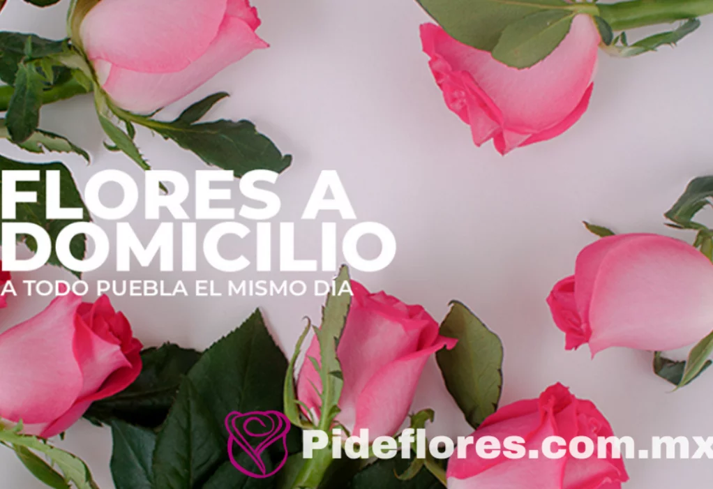 ¿Por qué pedir flores a domicilio?