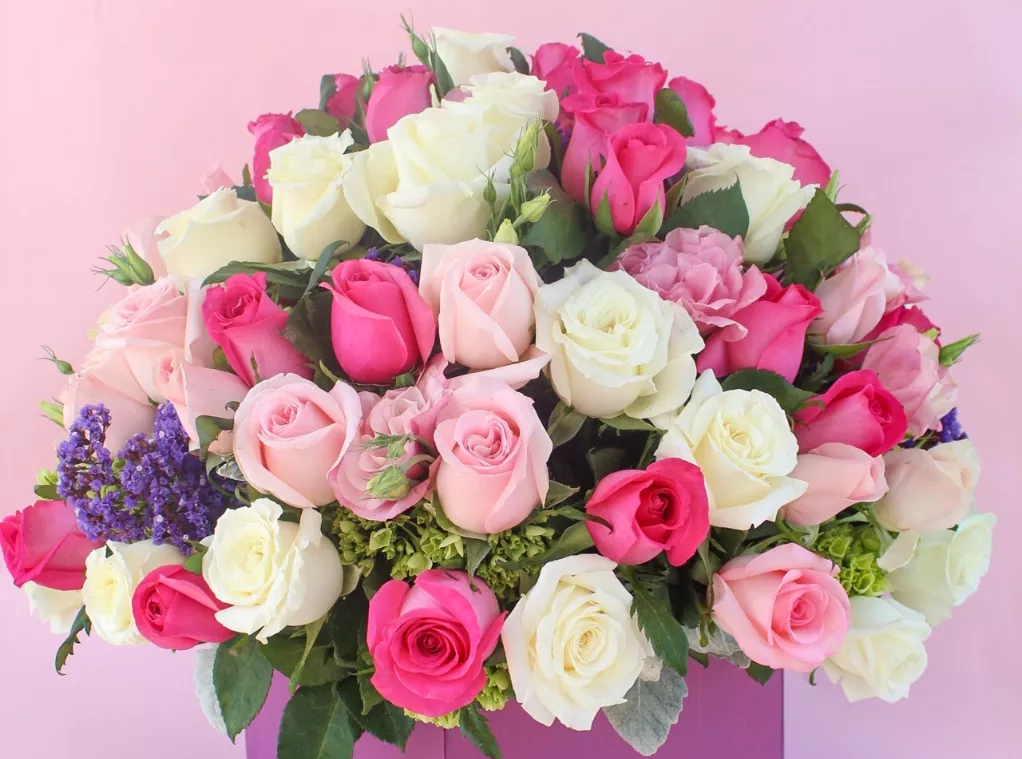 Cuál Es El Significado De Los Colores De Las Rosas