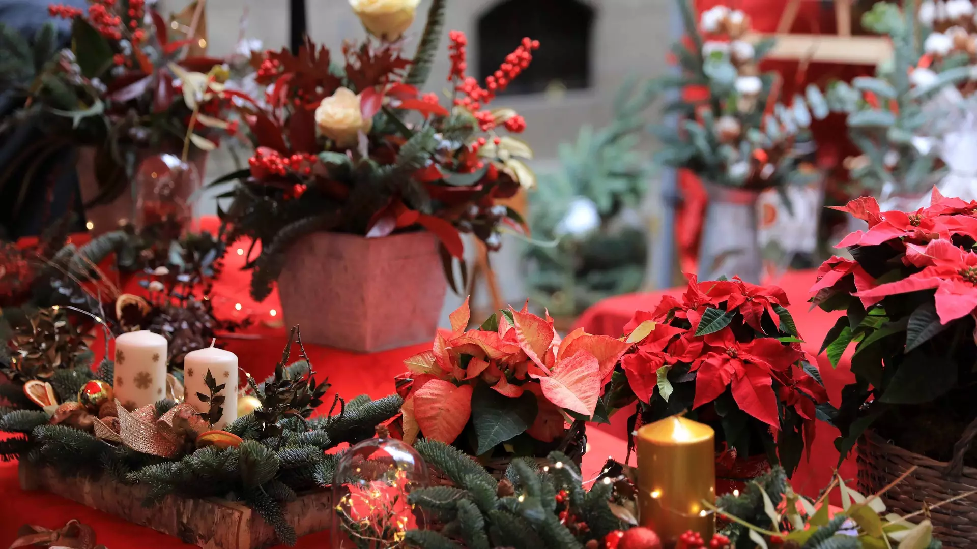 Tendencias navideñas para este año.