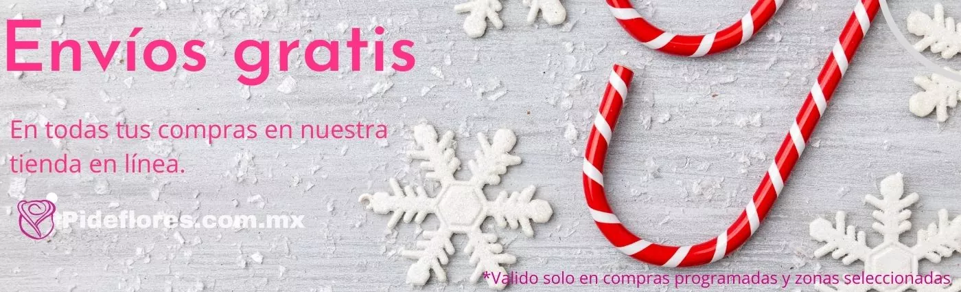 Envios-gratis