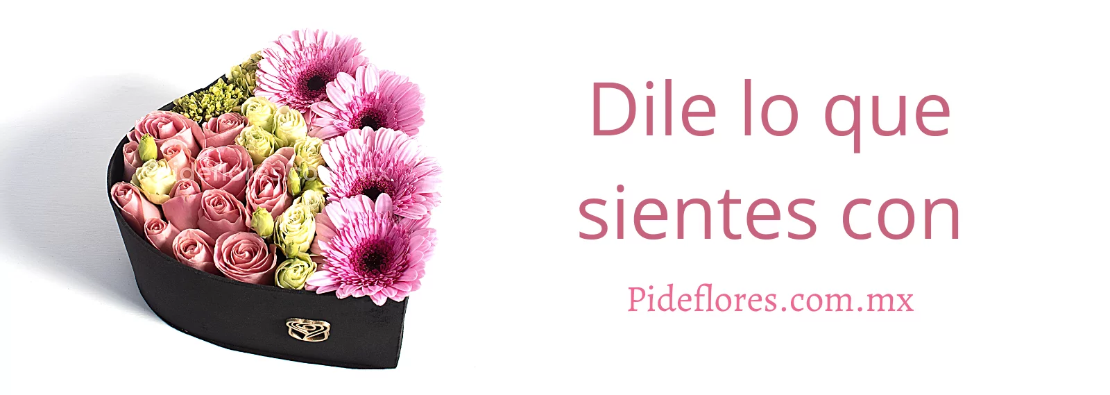 Banner-Pideflores