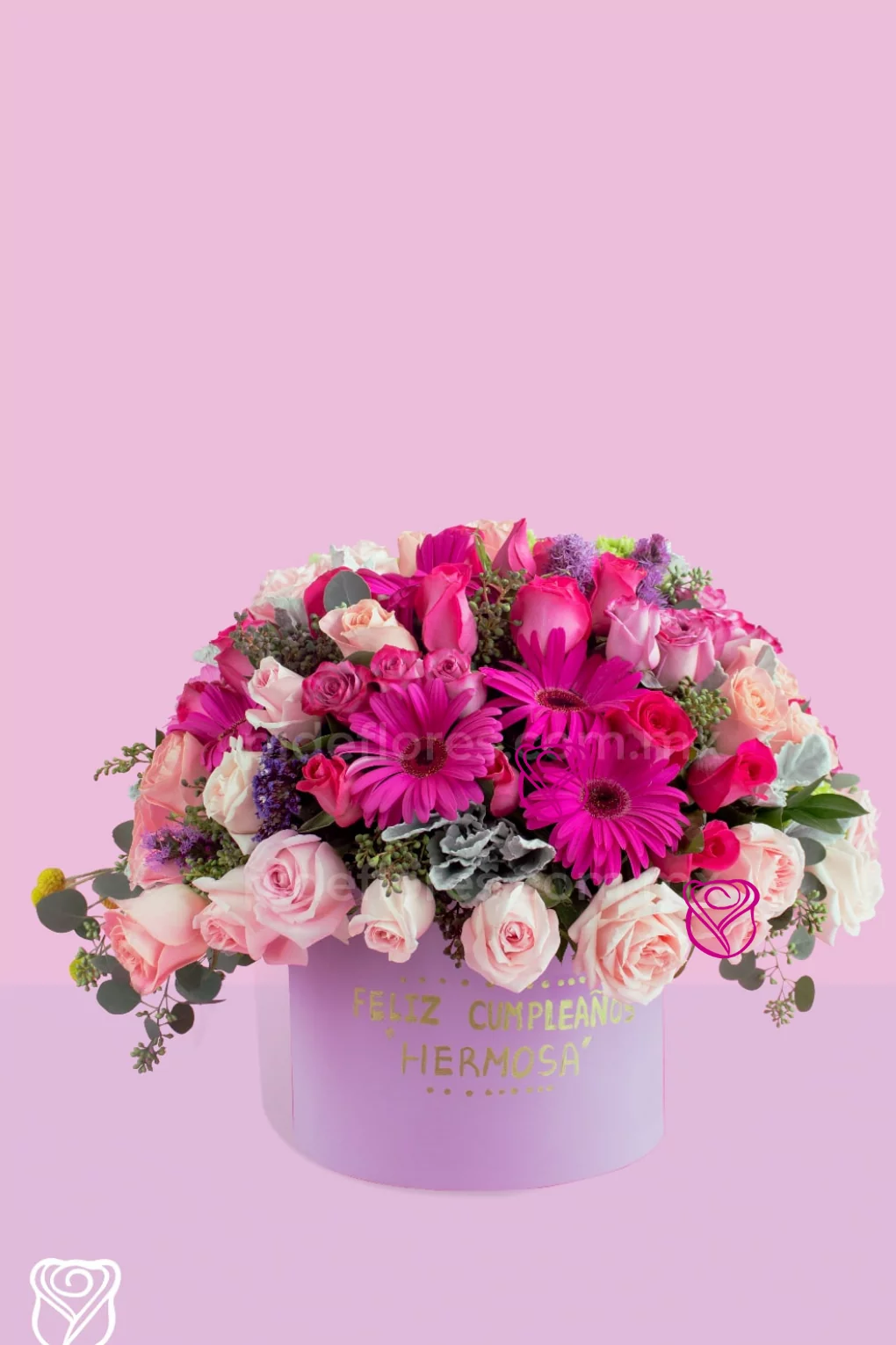 Gerbera-1