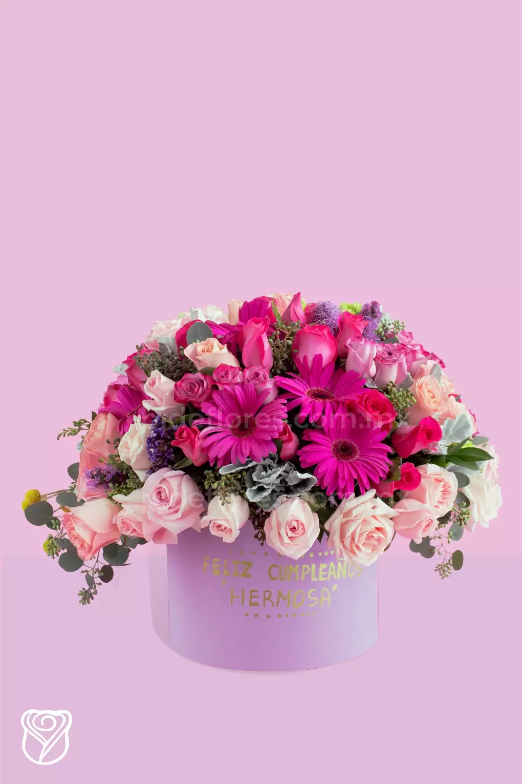 Gerbera-rosa-1-min