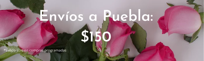 Precio-Puebla