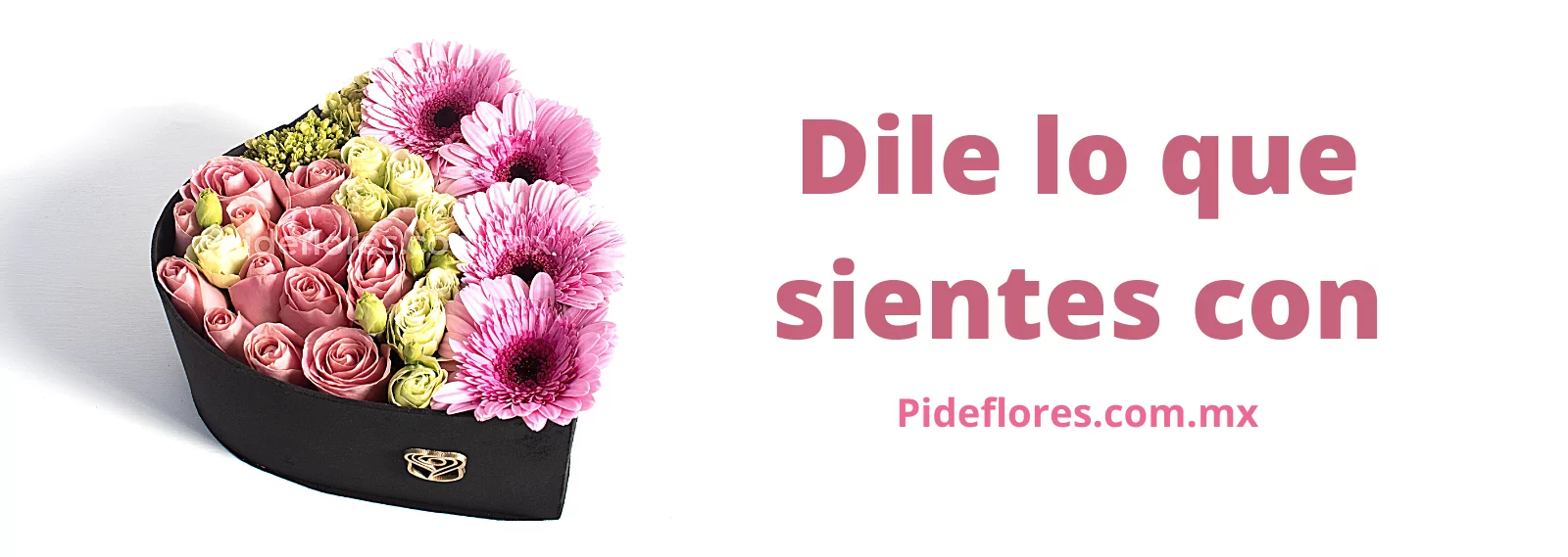 San Valentin-Desktop-Main (3)