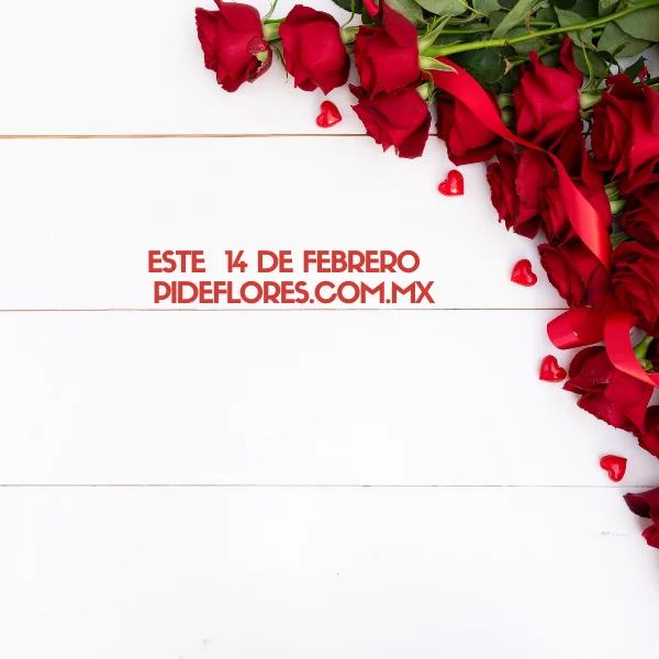 San Valentin-Desktop-Mobile (3)