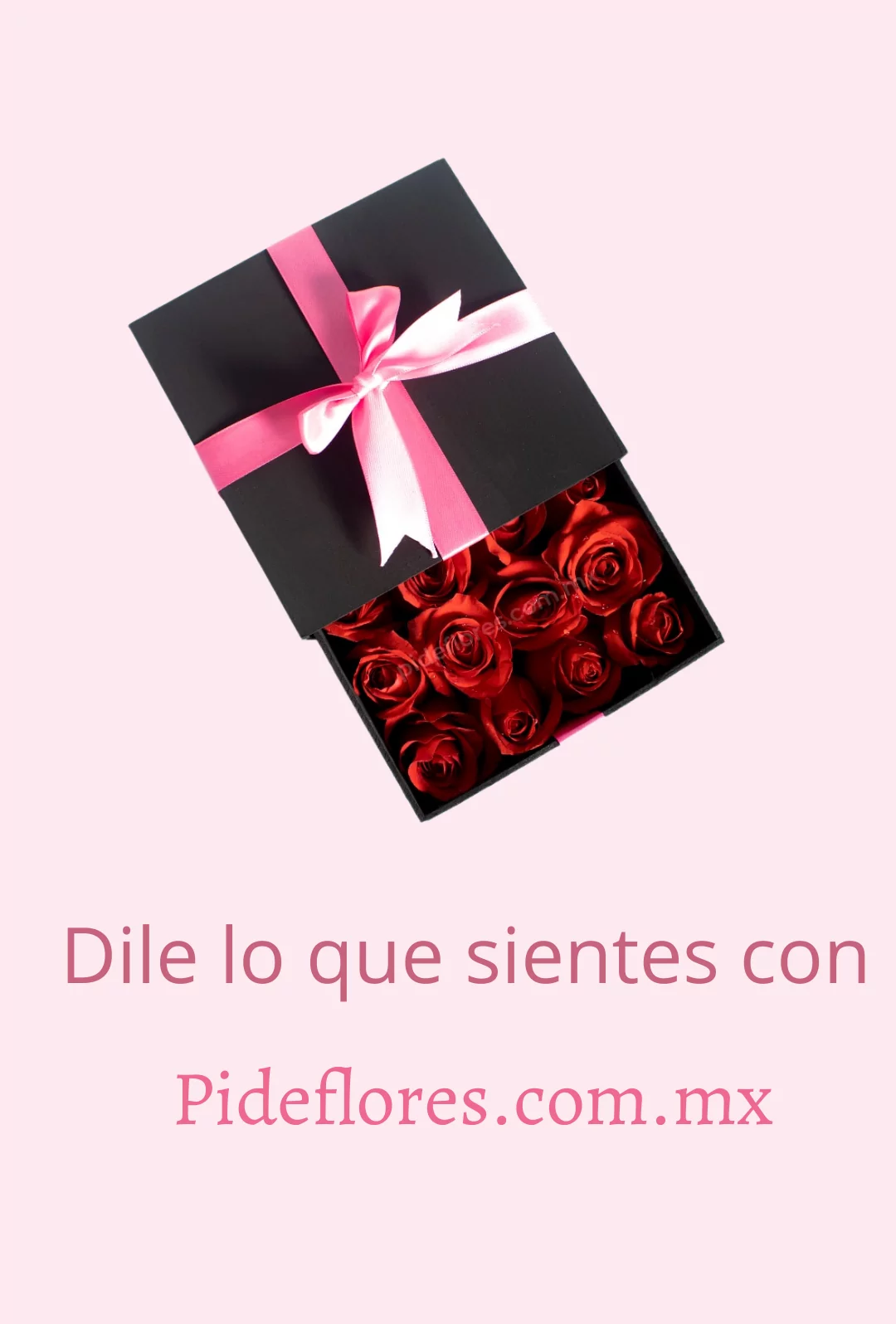 rosas-mov