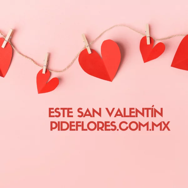 sanvalentin1