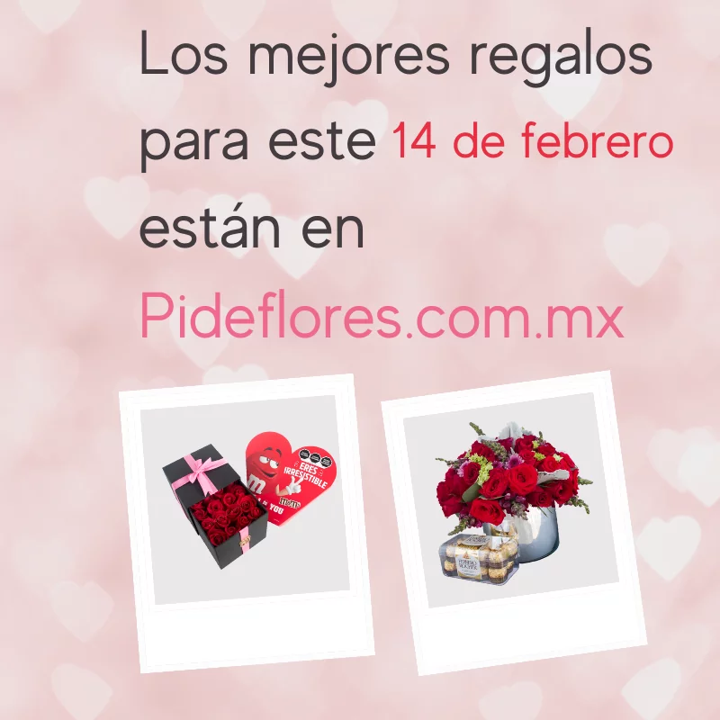 Copia de Copia de Copia de Sitio-Banners-14 de Febrero-chocolates (1)
