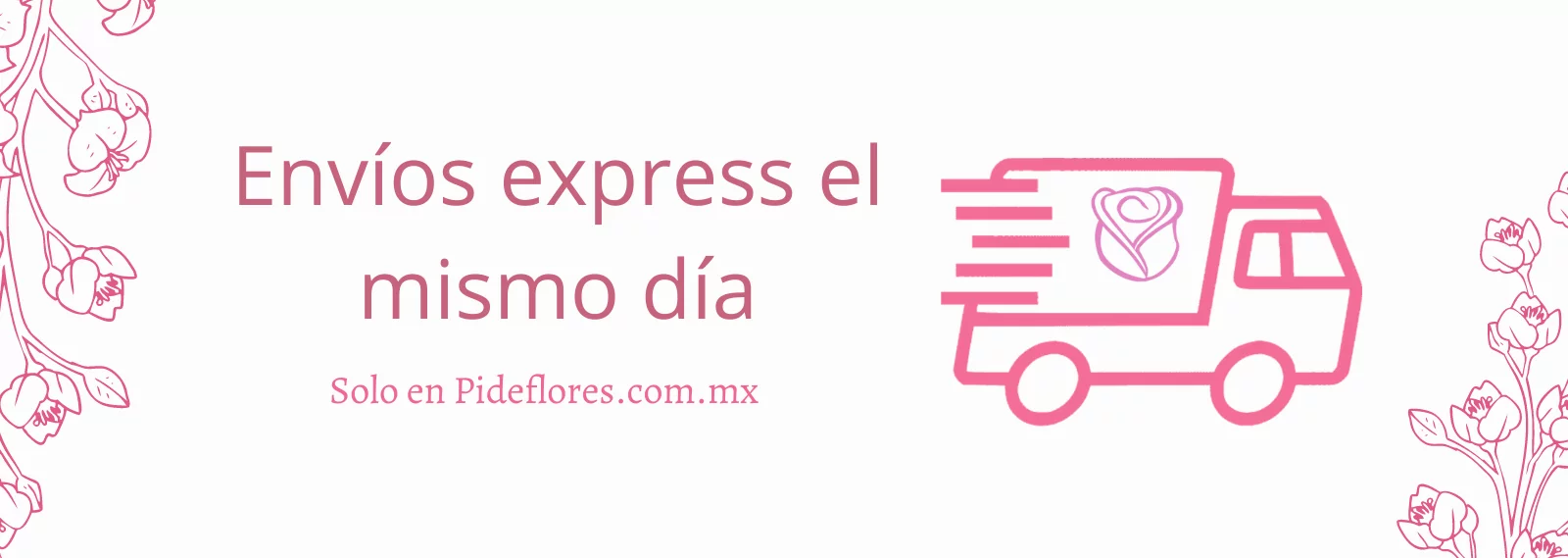 EnvioExpress1