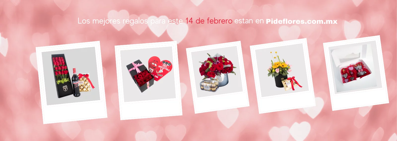 Sitio-Banners-14 de Febrero