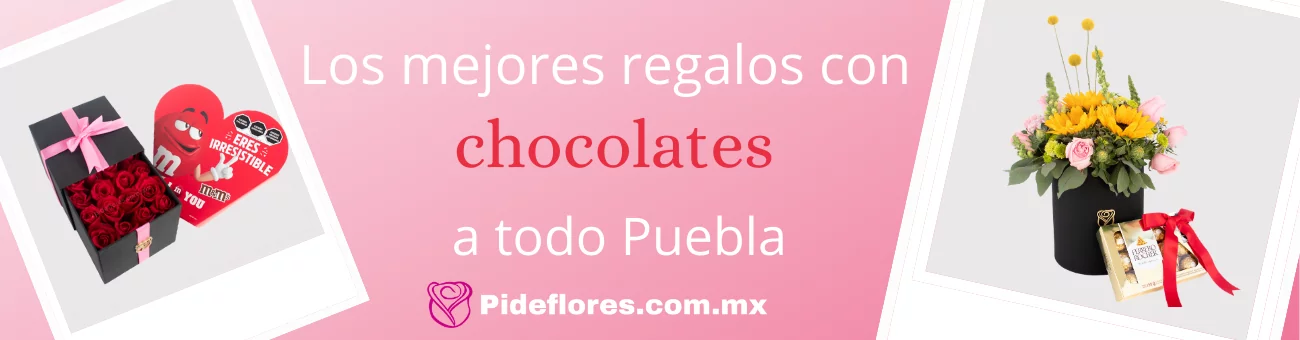 chocolates-banner-14deFebrero