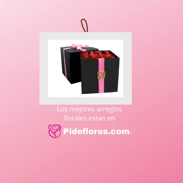 banner_movil_2