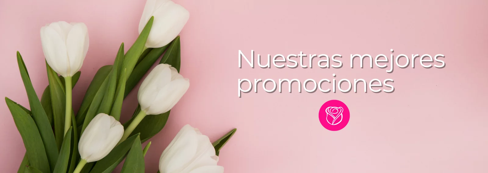 Banners-Desktop-Junio (1)