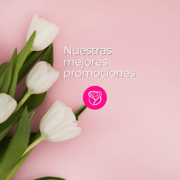 Movil-Banners Junio 2021 (1)