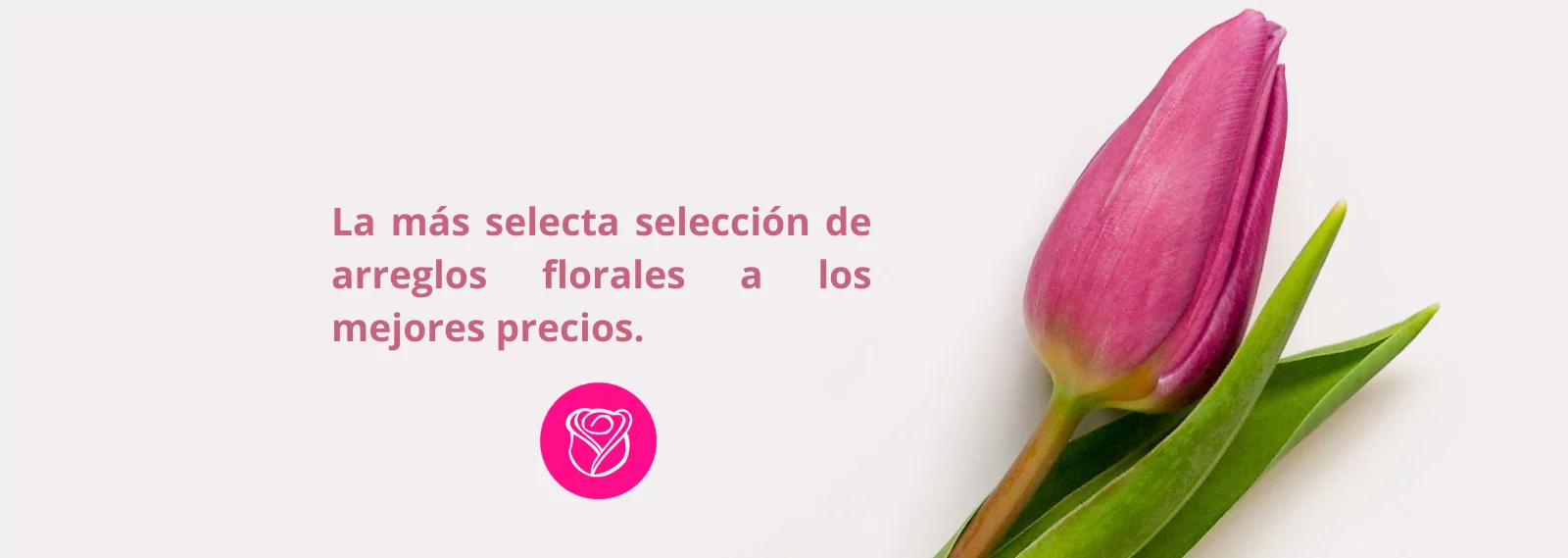 SE-Junio