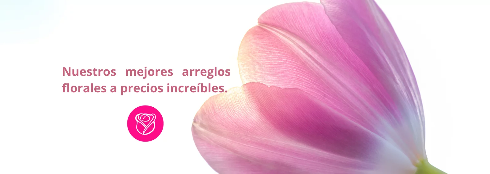 oferta-promociones