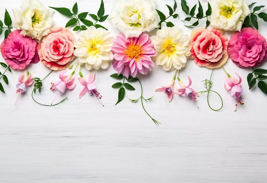 Los significados de las flores y sus colores se atribuyen a cada persona