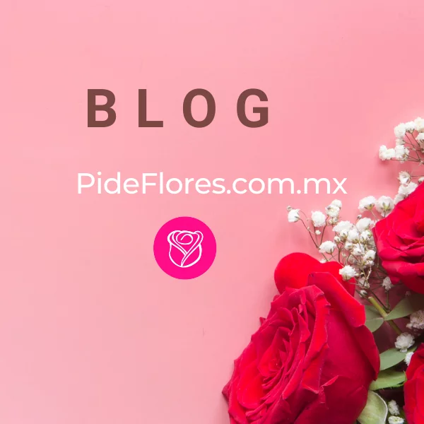 Blog-Banner Julio 2021