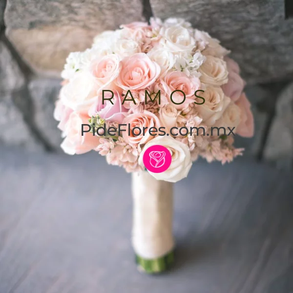 Ramos_movi