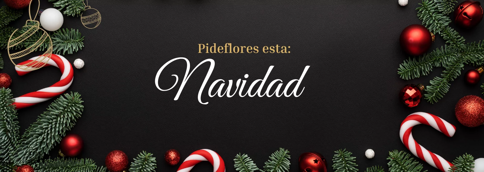 banner_navidad_2021(2)