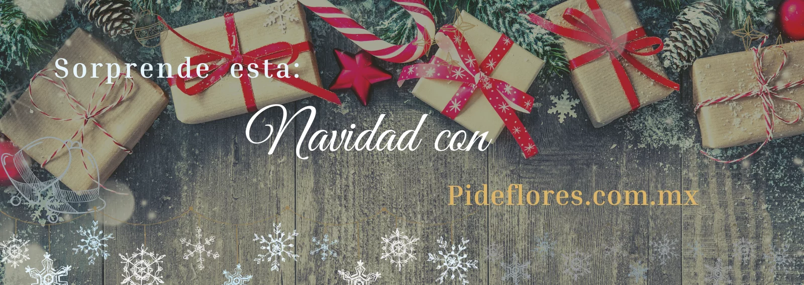 banner_navidad_2021(3)