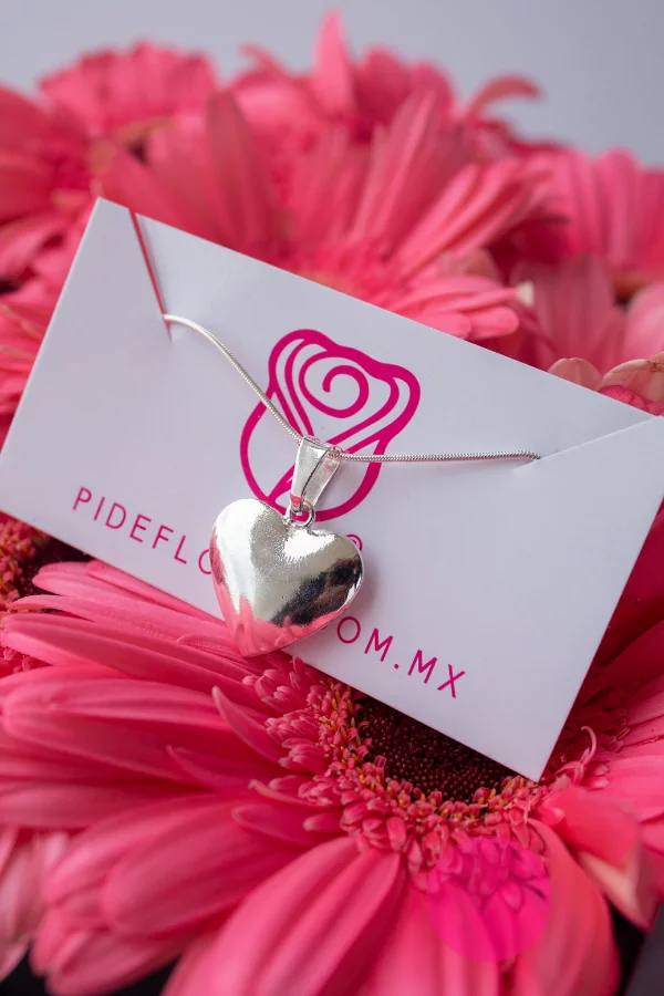 Joyeria (1)