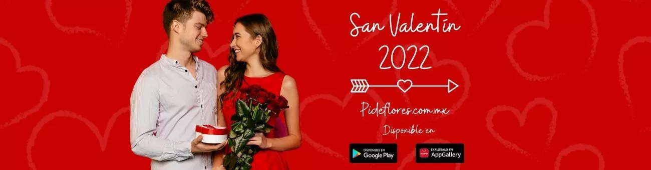 Slider-SanValentin2022(5)