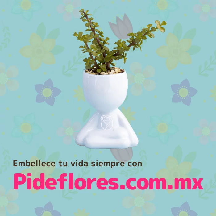 Slide_Movil_nuevos_arreglos
