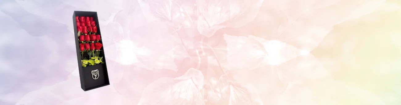 Slider-Rosas