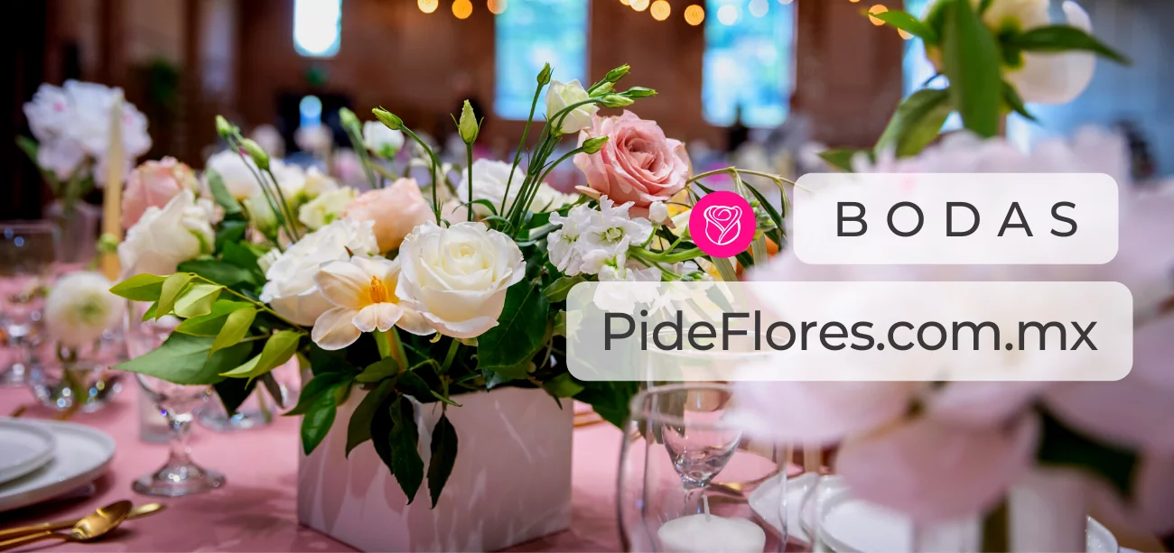 bodas2022_desktop(1)