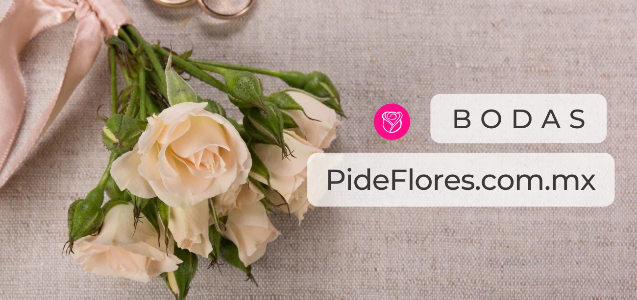 bodas2022_desktop(2)