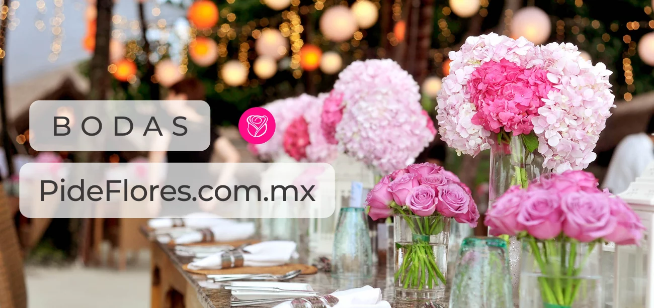 bodas2022_desktop(3)