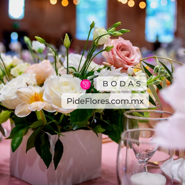 bodas_movil_2022(1)