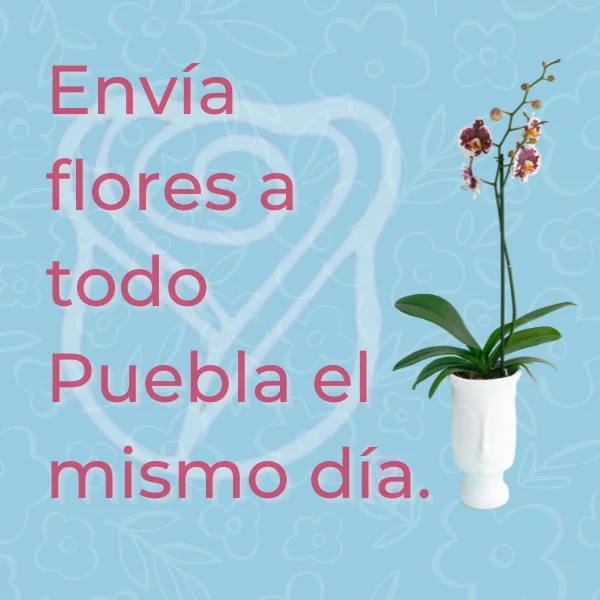 slider_movil_2022